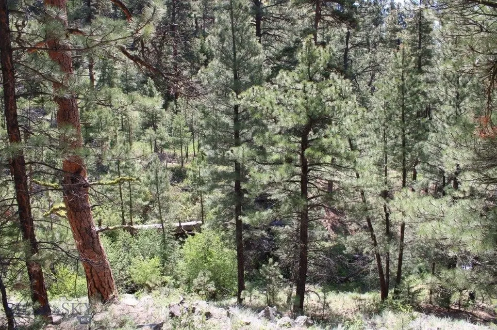 6 Pine Coulee Cascade MT 59421