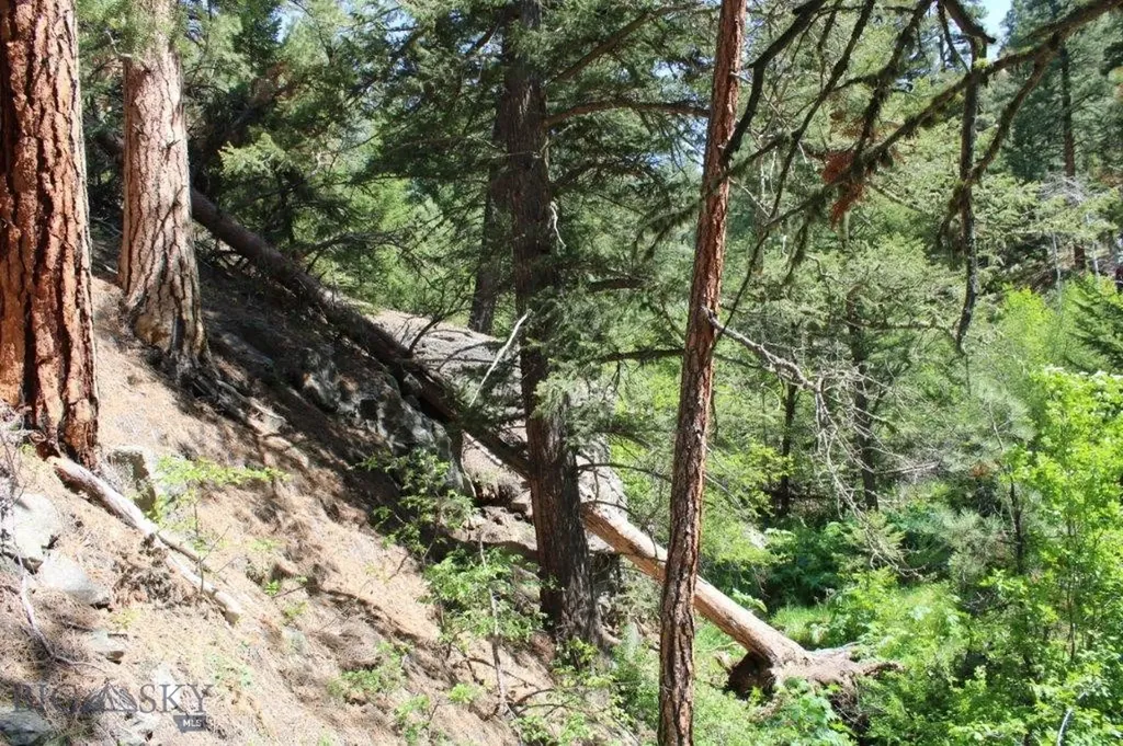 6 Pine Coulee Cascade MT 59421