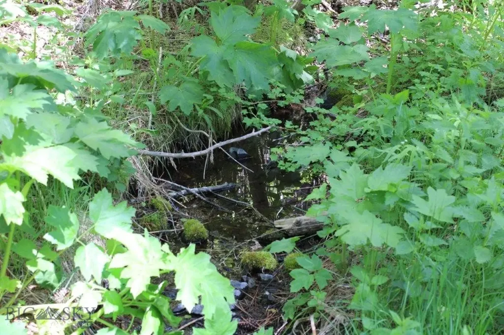 6 Pine Coulee Cascade MT 59421