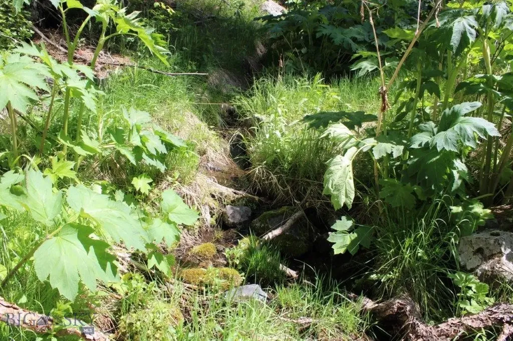 6 Pine Coulee Cascade MT 59421