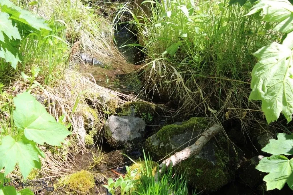 6 Pine Coulee Cascade MT 59421
