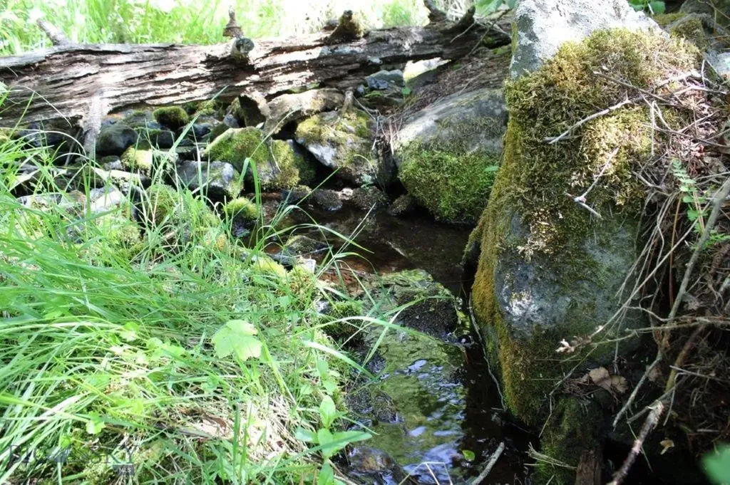 6 Pine Coulee Cascade MT 59421