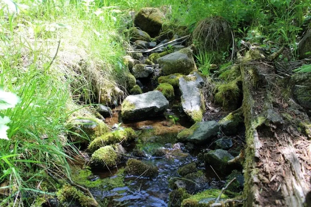 6 Pine Coulee Cascade MT 59421