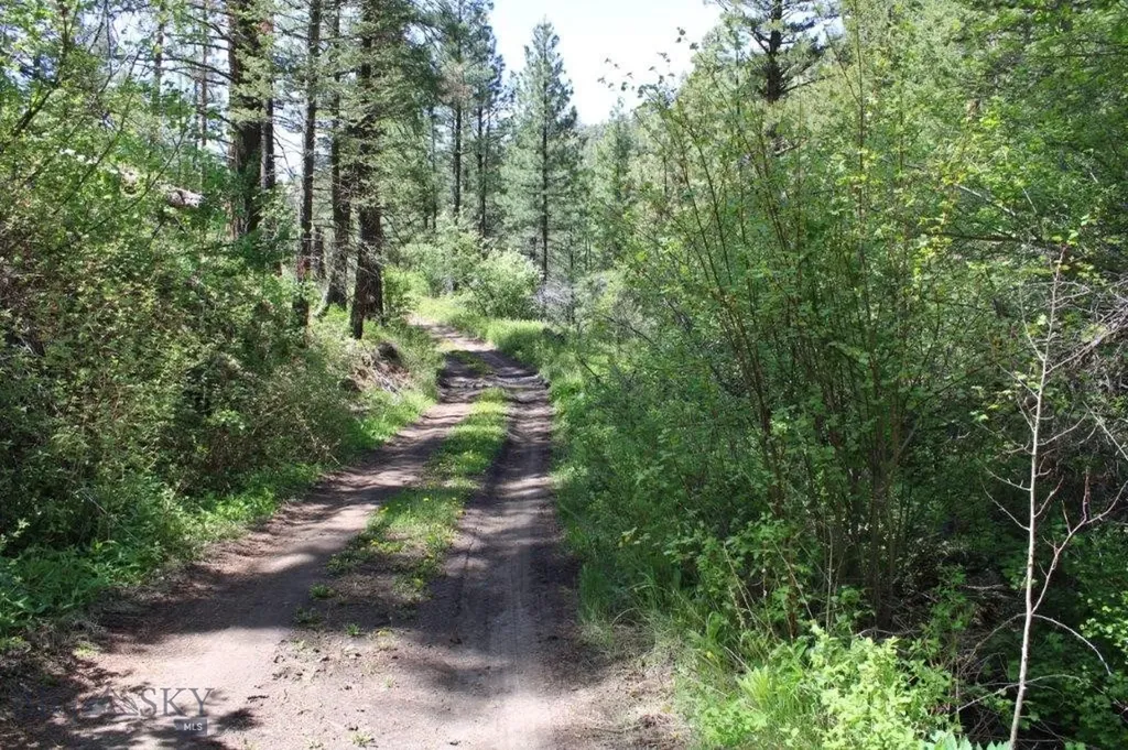 6 Pine Coulee Cascade MT 59421