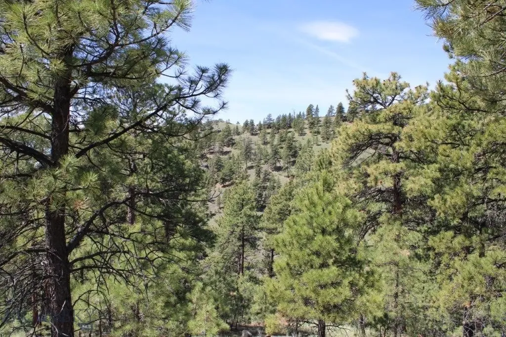 6 Pine Coulee Cascade MT 59421