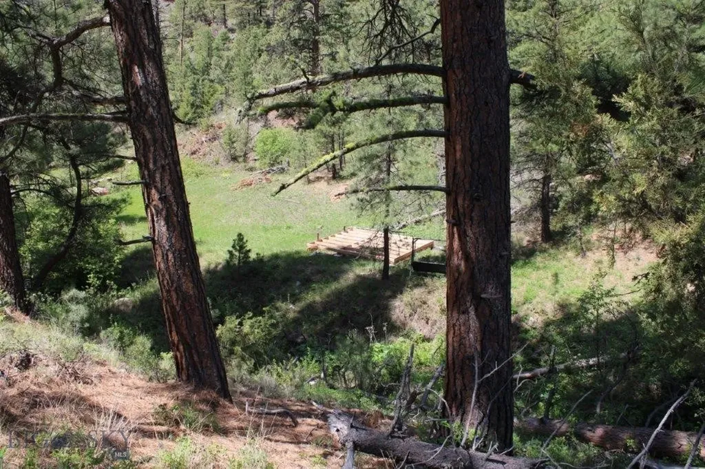 6 Pine Coulee Cascade MT 59421