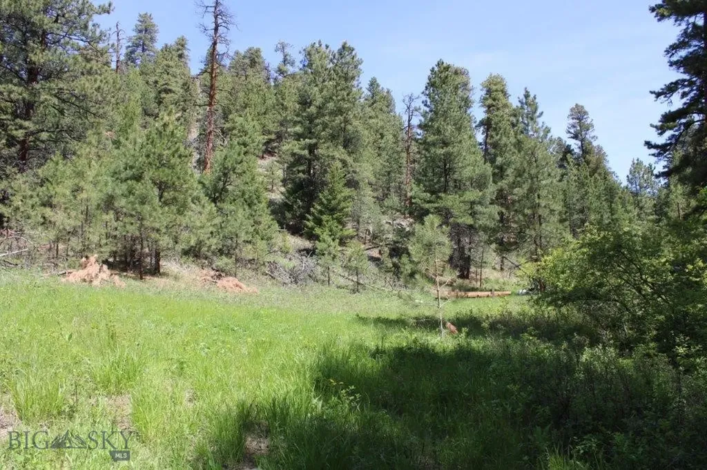 6 Pine Coulee Cascade MT 59421