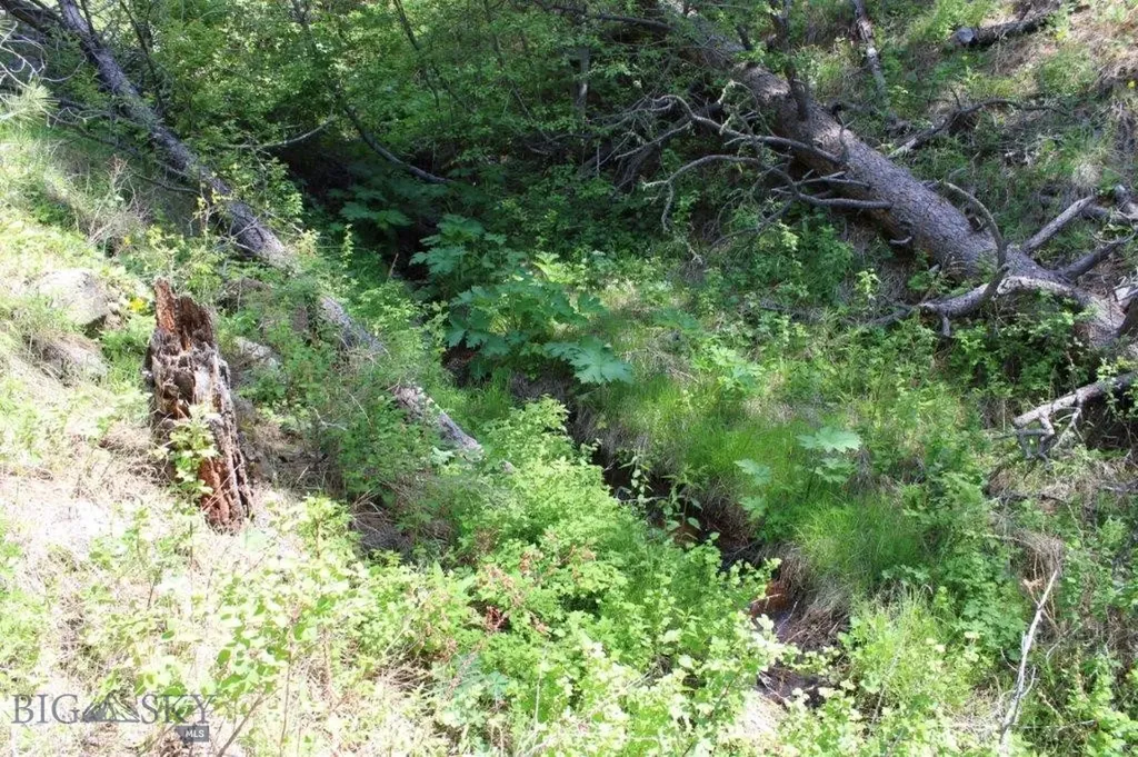 6 Pine Coulee Cascade MT 59421