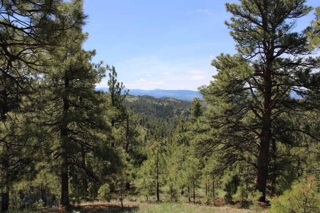 6 Pine Coulee Cascade MT 59421