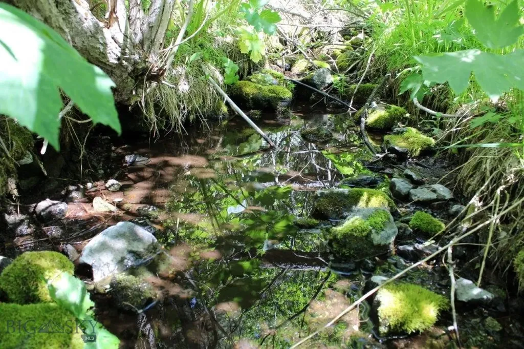 6 Pine Coulee Cascade MT 59421