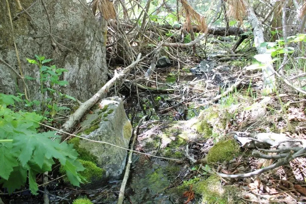 6 Pine Coulee Cascade MT 59421