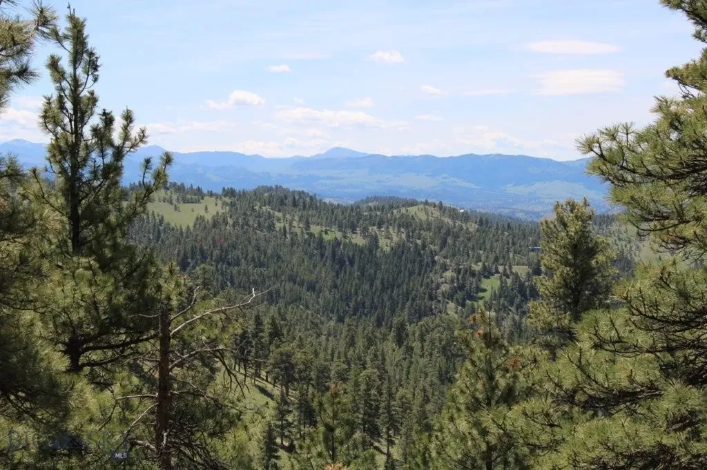 6 Pine Coulee Cascade MT 59421