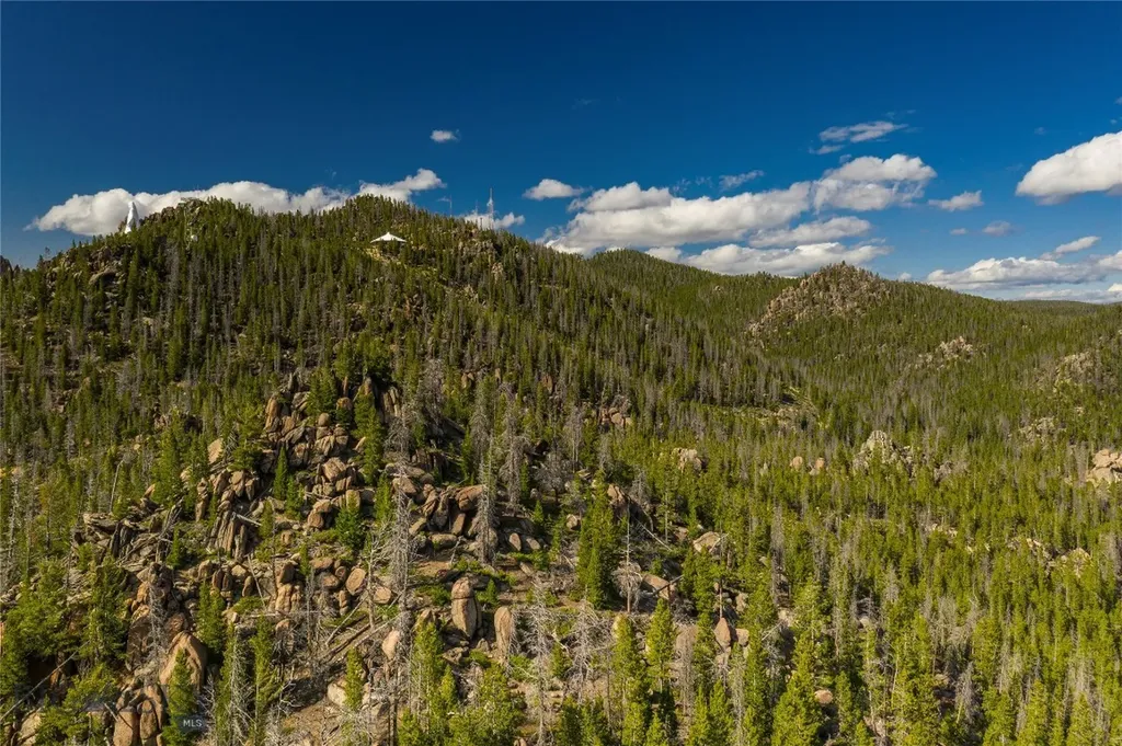 Tbd East Ridge Park Road Butte MT 59701