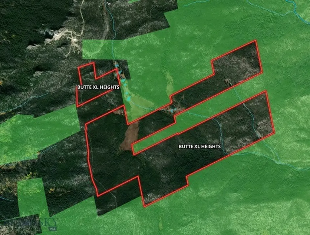 Tbd East Ridge Park Road Butte MT 59701