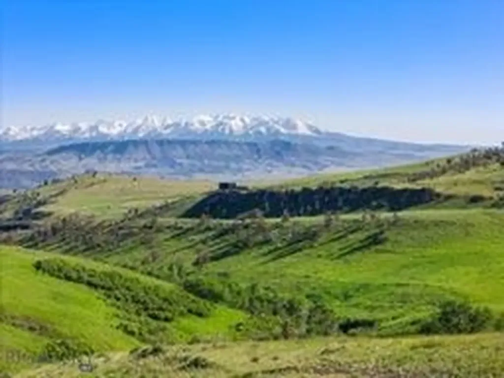Tbd Bruffey Livingston MT 59047