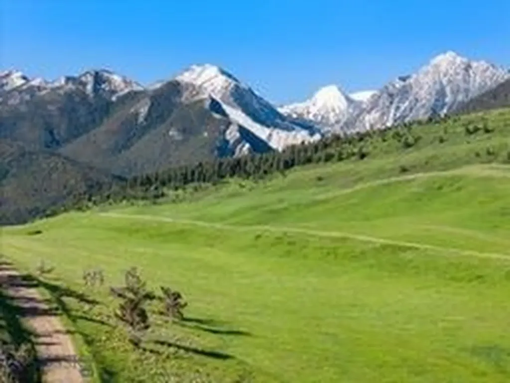 Tbd Bruffey Livingston MT 59047