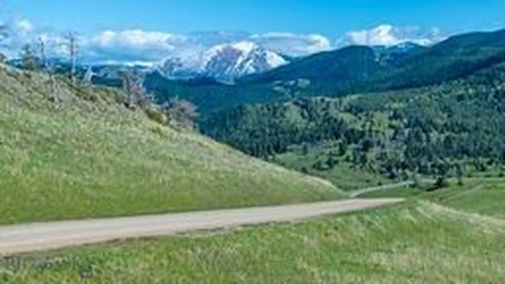 Tbd Bruffey Livingston MT 59047