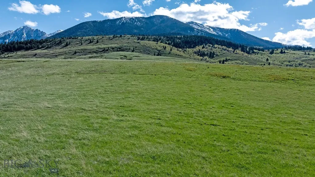 Tbd Bruffey Livingston MT 59047