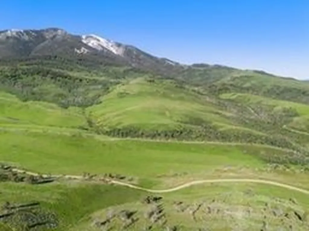 Tbd Bruffey Livingston MT 59047