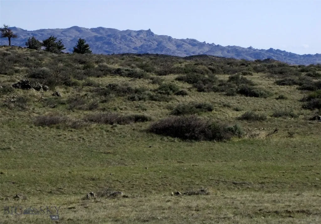 Tbd Buffalo Commons, Wheatland, Wyoming Other WY 82201