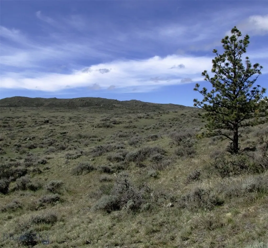 Tbd Buffalo Commons, Wheatland, Wyoming Other WY 82201