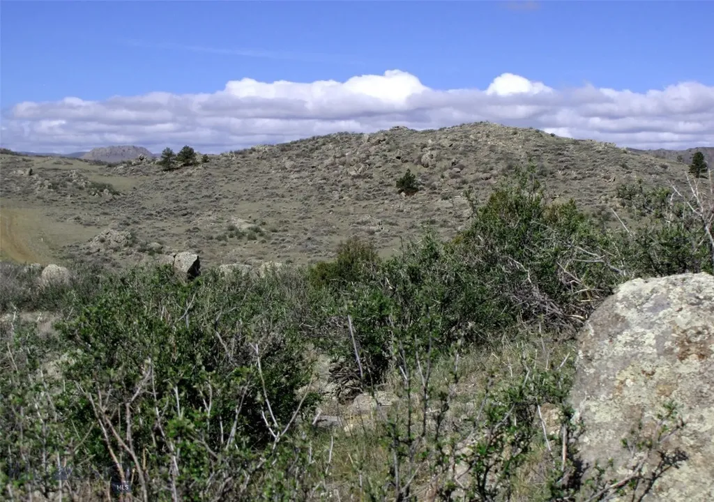 Tbd Buffalo Commons, Wheatland, Wyoming Other WY 82201