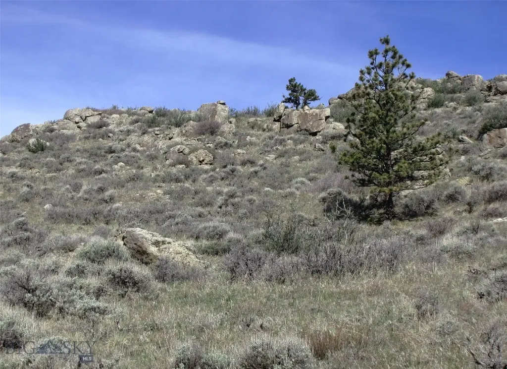 Tbd Buffalo Commons, Wheatland, Wyoming Other WY 82201