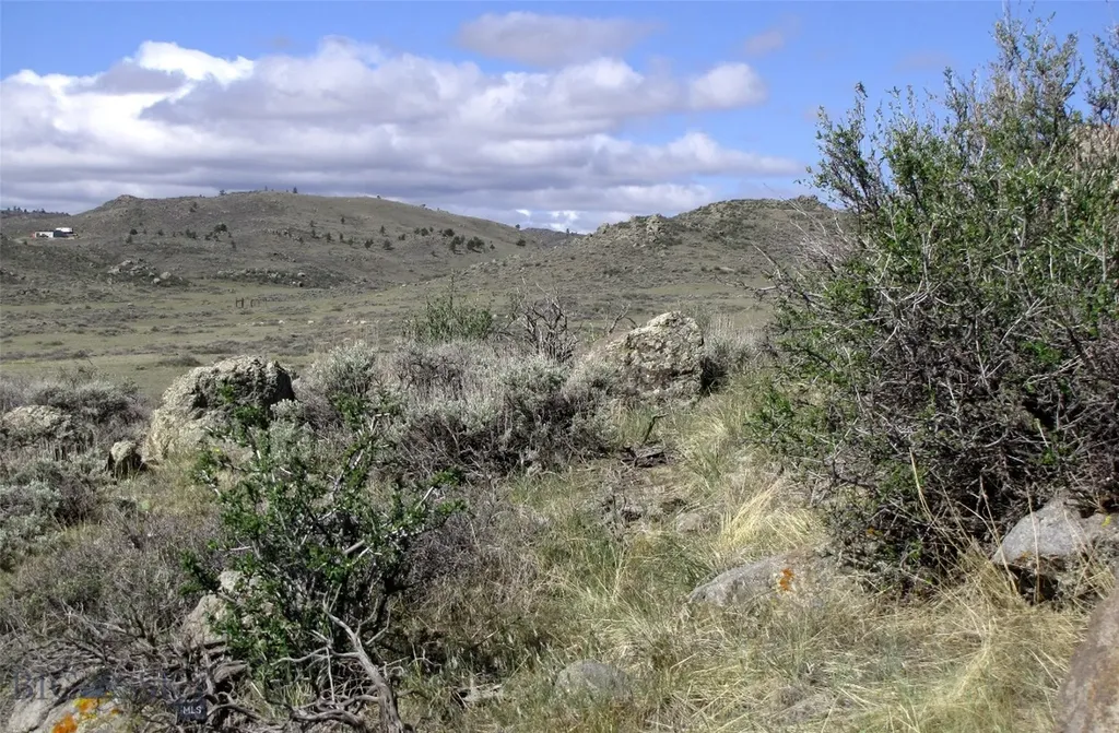 Tbd Buffalo Commons, Wheatland, Wyoming Other WY 82201