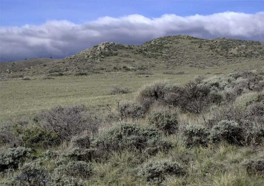 Tbd Buffalo Commons, Wheatland, Wyoming Other WY 82201