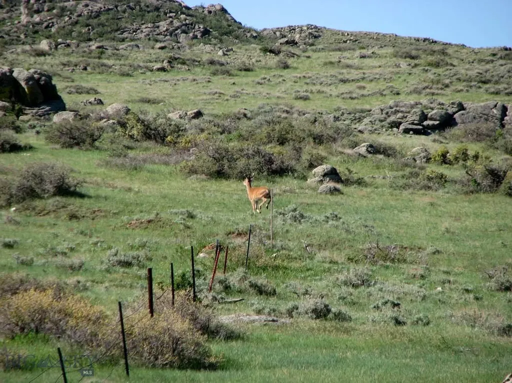Tbd Buffalo Commons, Wheatland, Wyoming Other WY 82201