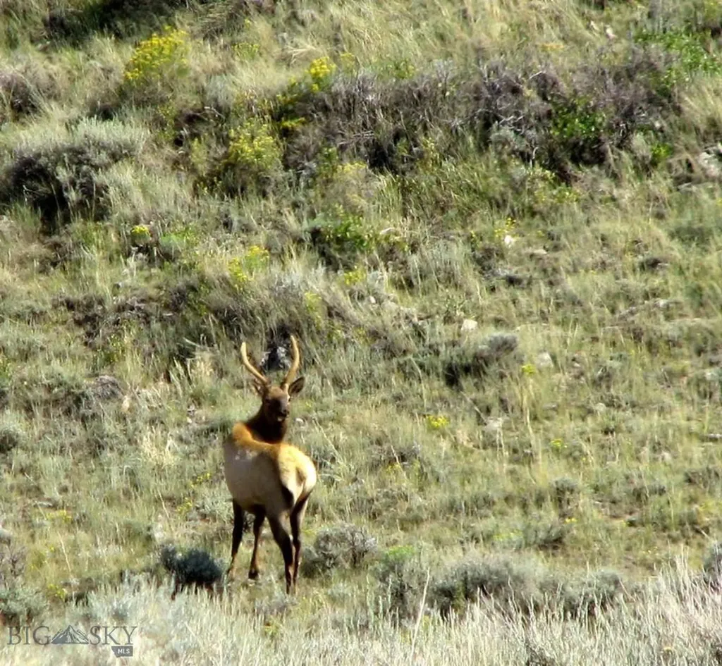 Tbd Buffalo Commons, Wheatland, Wyoming Other WY 82201