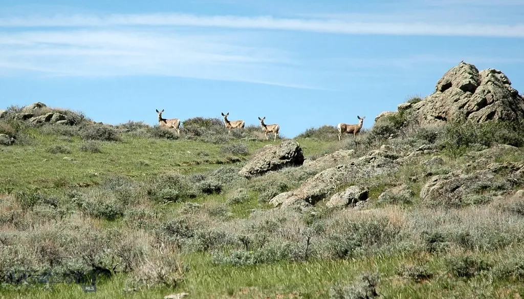 Tbd Buffalo Commons, Wheatland, Wyoming Other WY 82201