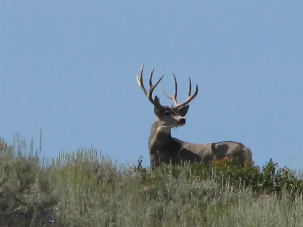 Tbd Buffalo Commons, Wheatland, Wyoming Other WY 82201