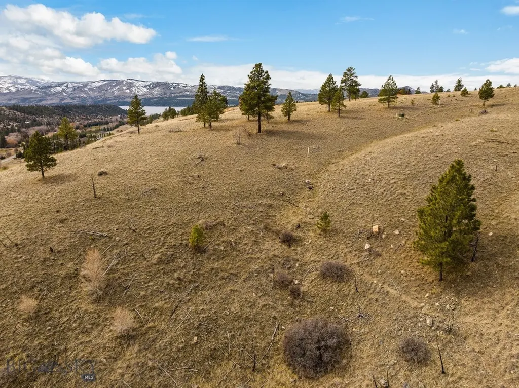 8545 Eagle View Road Helena MT 59602