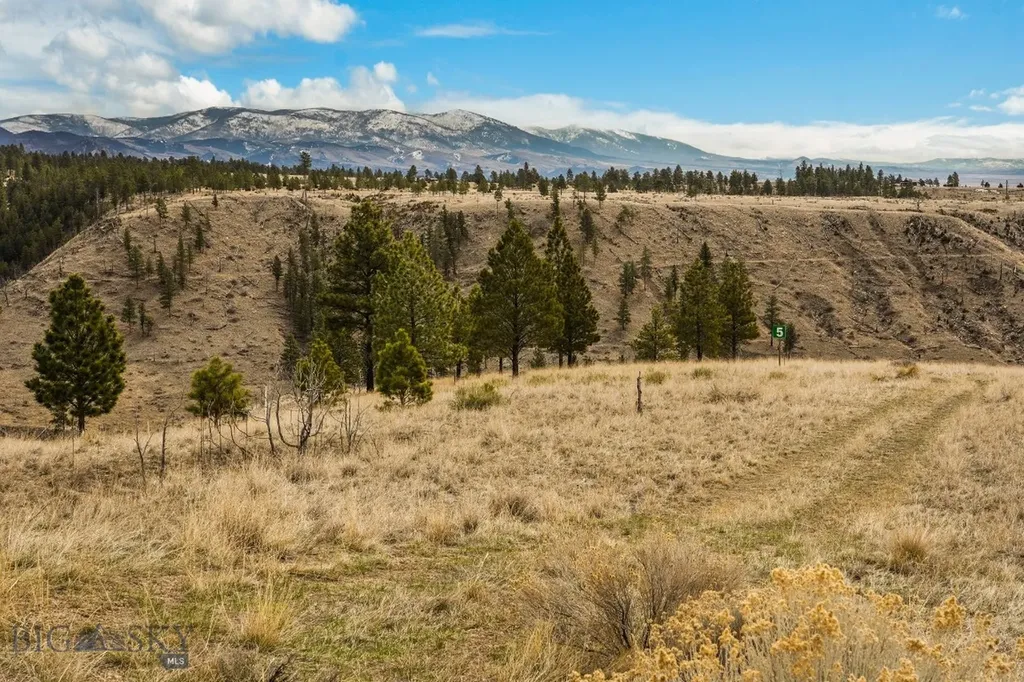 8545 Eagle View Road Helena MT 59602