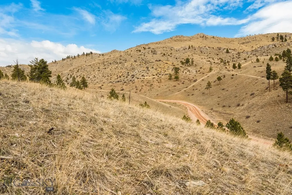 8545 Eagle View Road Helena MT 59602