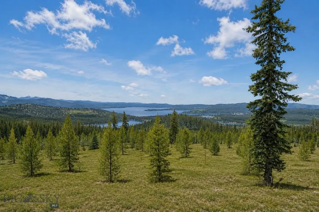105 Damsel Lane Anaconda MT 59711