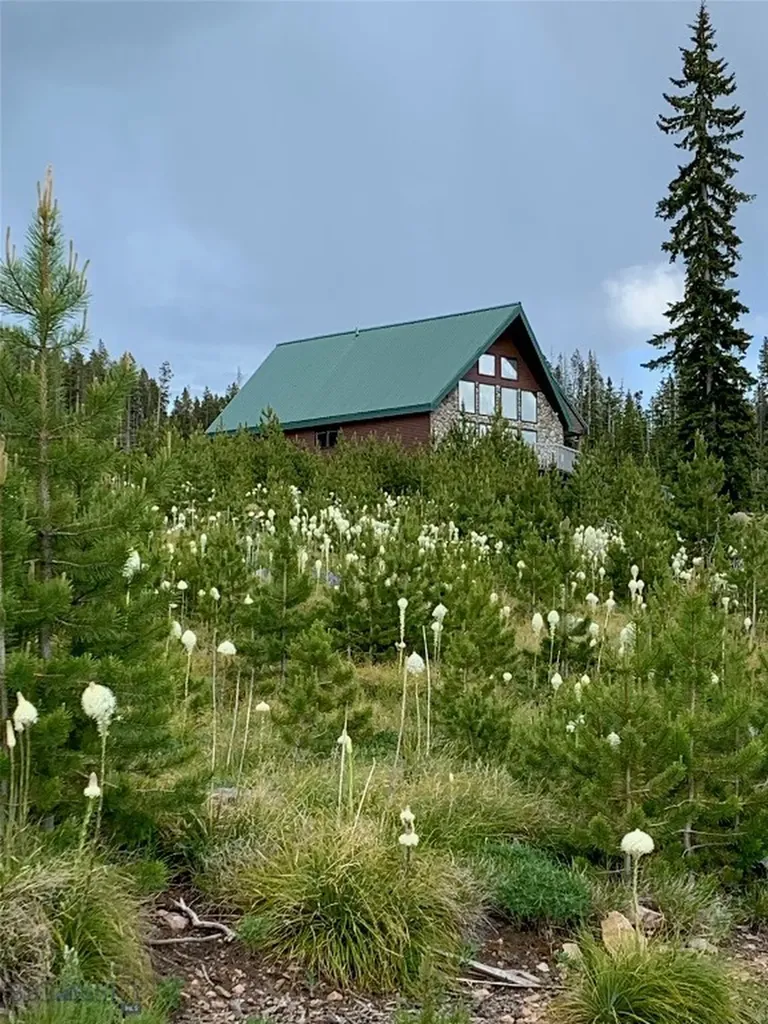 105 Damsel Lane Anaconda MT 59711