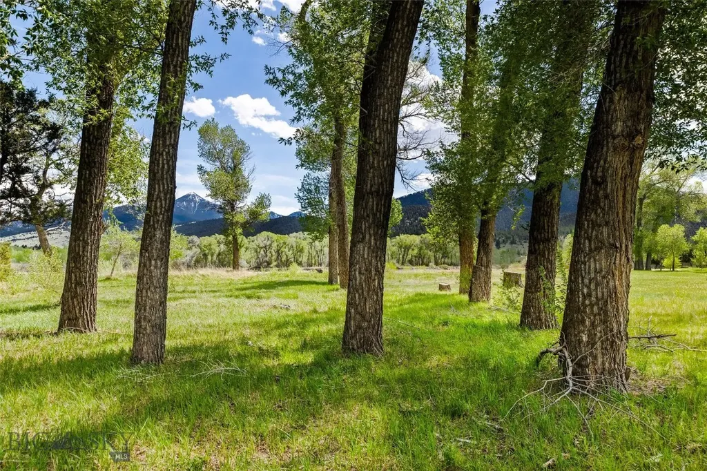 32 Strong Lane Livingston MT 59047