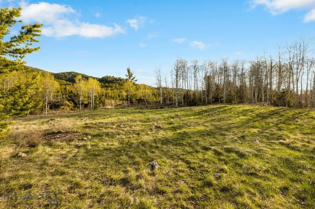 1470 Lime Spur Road Anaconda MT 59711