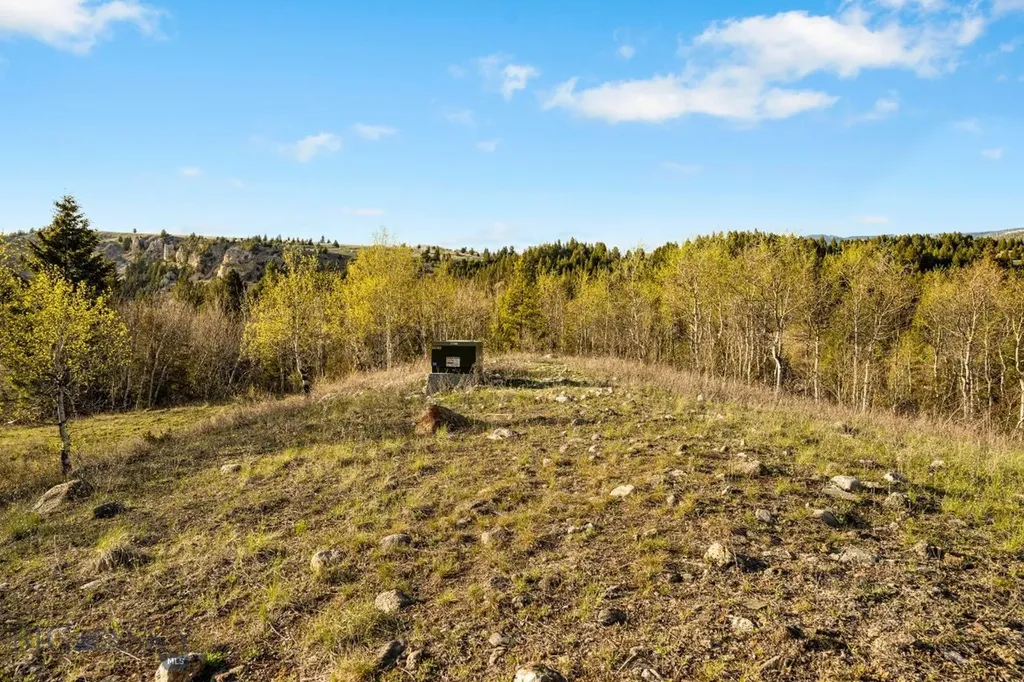 1470 Lime Spur Road Anaconda MT 59711