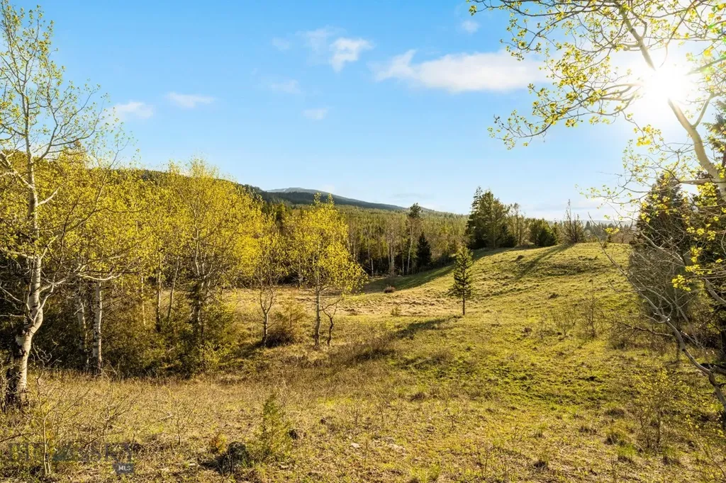 1470 Lime Spur Road Anaconda MT 59711