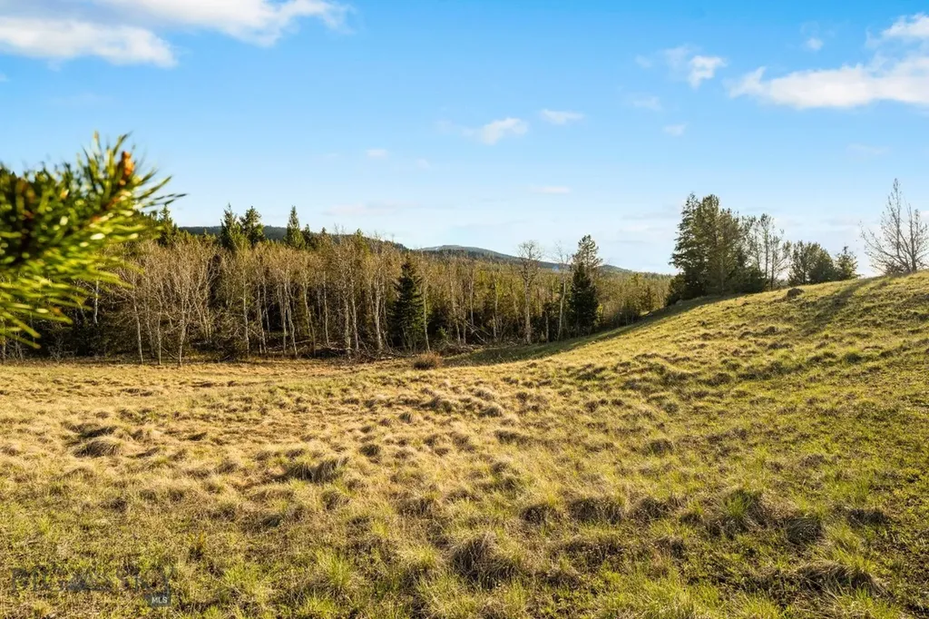 1470 Lime Spur Road Anaconda MT 59711