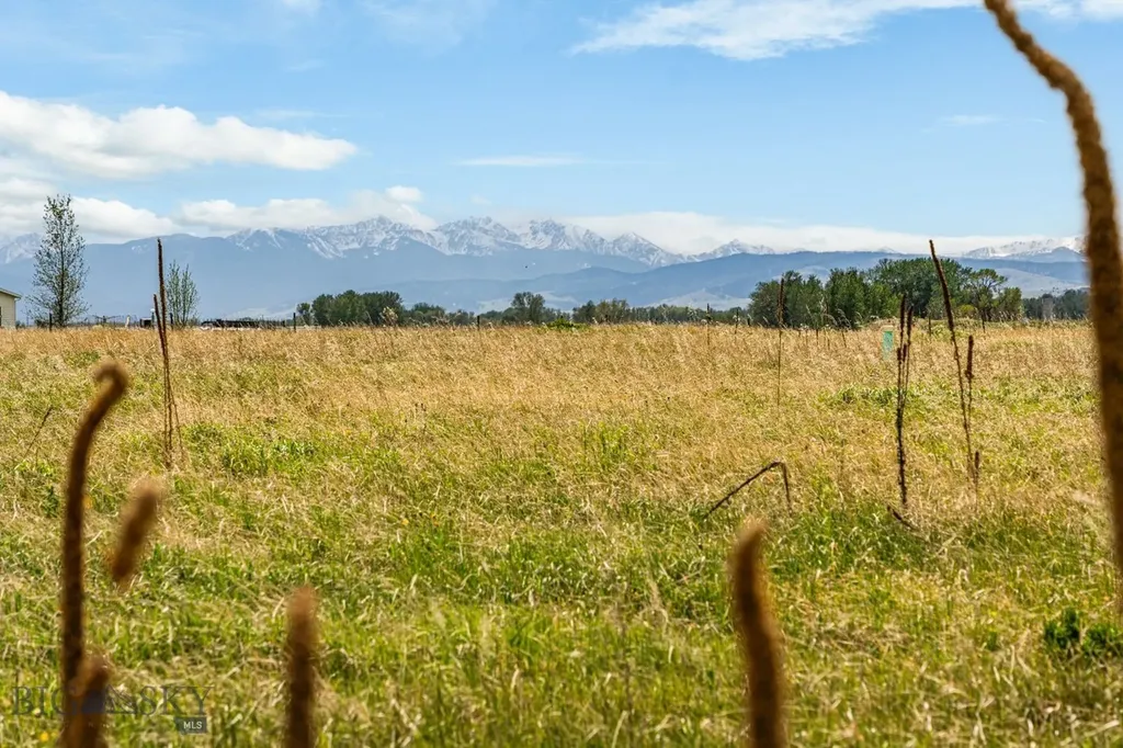 1875 Love Lane Bozeman MT 59718