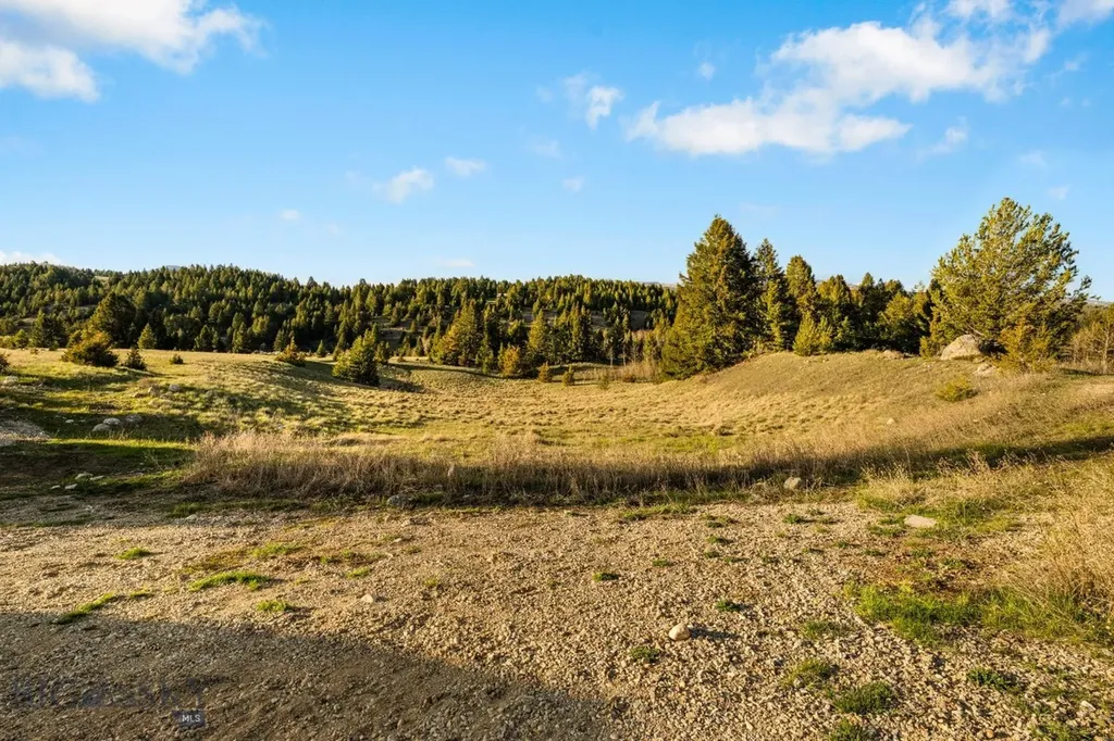 44 Two Meadows Drive Anaconda MT 59711