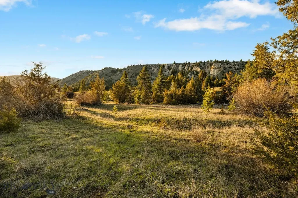 Nhn Lime Spur Road Anaconda MT 59711