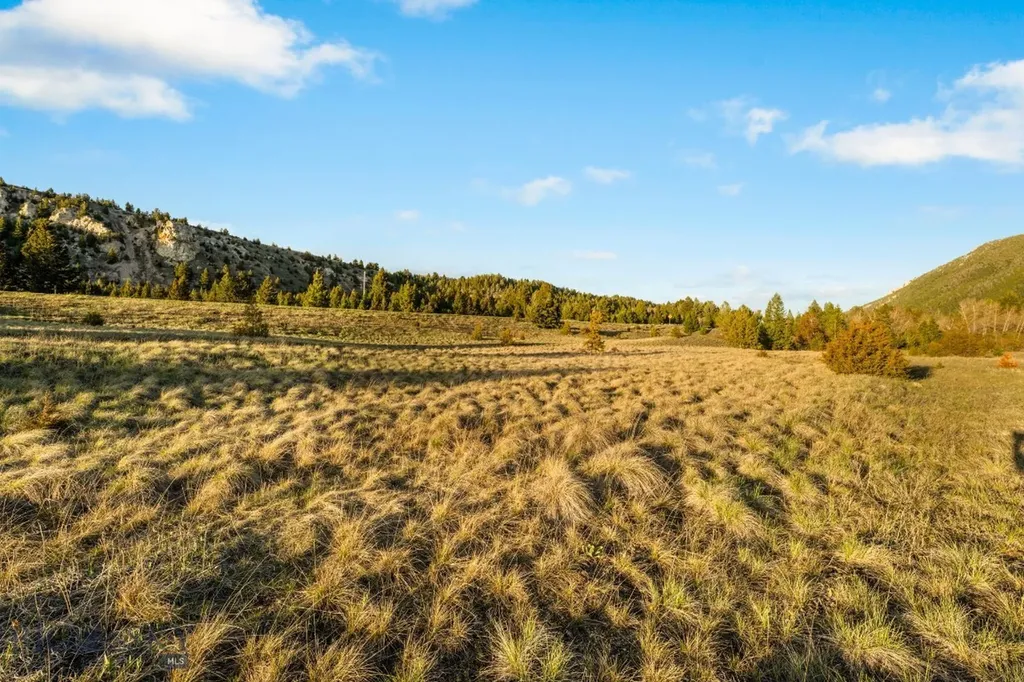 Nhn Lime Spur Road Anaconda MT 59711