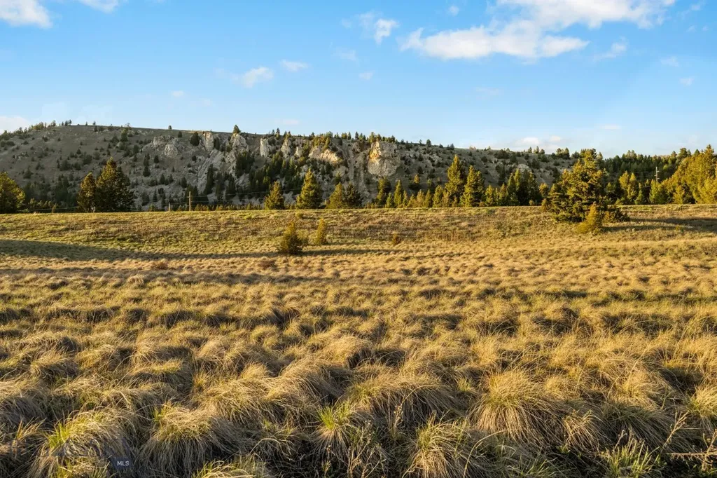 Nhn Lime Spur Road Anaconda MT 59711