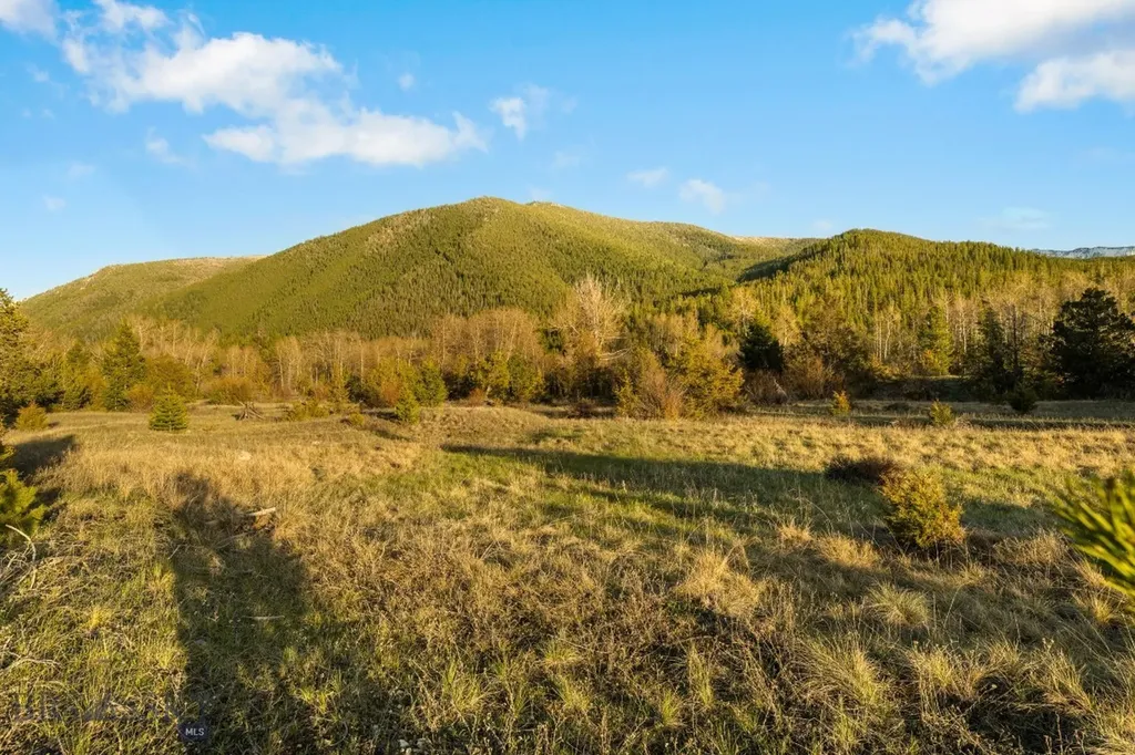 Nhn Lime Spur Road Anaconda MT 59711
