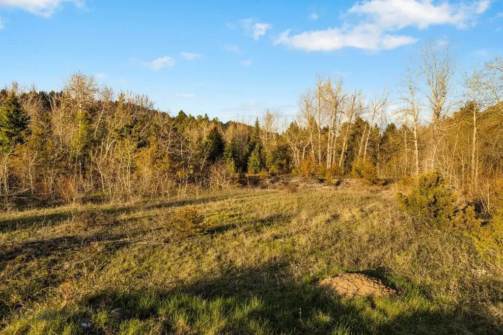 Nhn Lime Spur Road Anaconda MT 59711